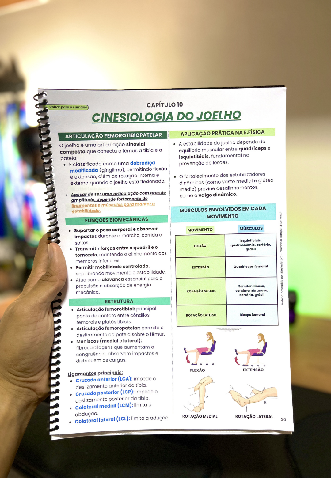 CAPAS JORNADA ESTUDANTE (7)
